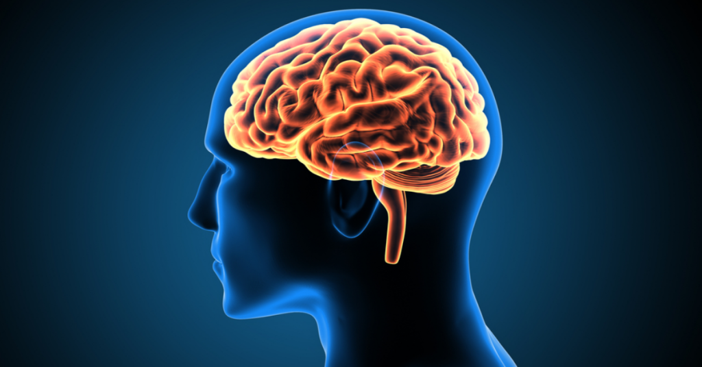 12. Proven Ways to Exercise and Train Your Brain for Unbeatable Memory and Brilliant Performance