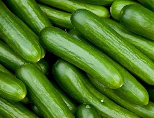 Cool as a Cucumber 10. Amazing Health Benefits of this Refreshing Superfood